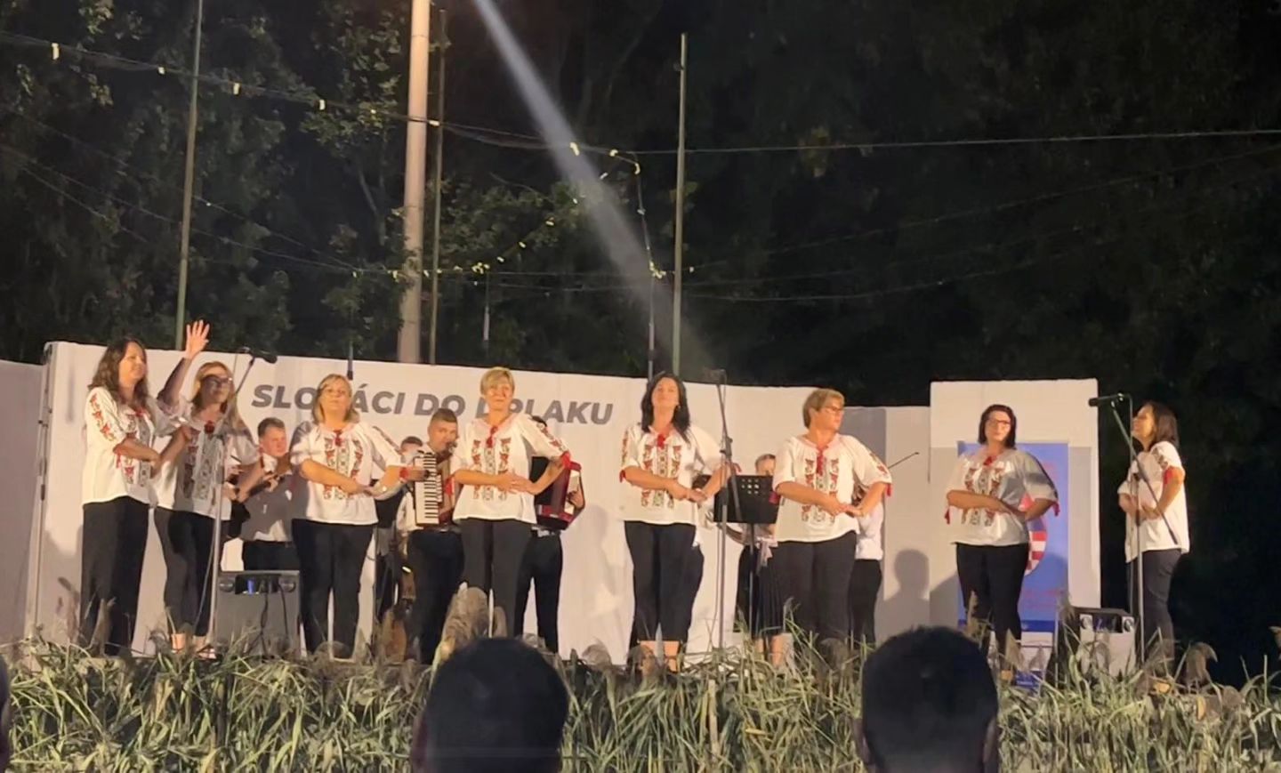 Ženská spevácka skupina a orchester v Josipovci